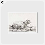 アートポストカード-Lying goat - ジャン ベルナール Postcard.