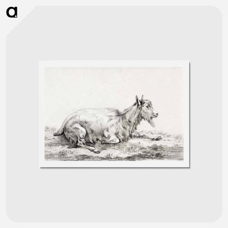 アートポストカード-Lying goat - ジャン ベルナール Postcard.