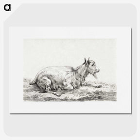 3-21_Jean-Bernard_picture