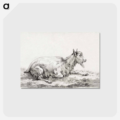 アートポストカード-Lying goat - ジャン ベルナール Postcard.