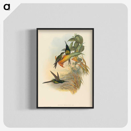 3-21_John-Gould_blk-crop