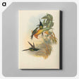 3-21_John-Gould_canvas