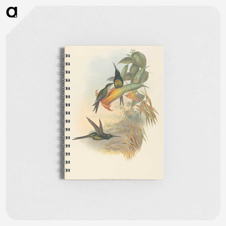 3-21_John-Gould_memo