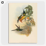 3-21_John-Gould_picture-crop
