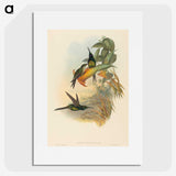 3-21_John-Gould_picture