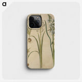 3-21_Maria-Sibylla-Merian_phone
