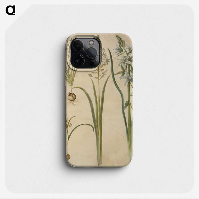 3-21_Maria-Sibylla-Merian_phone