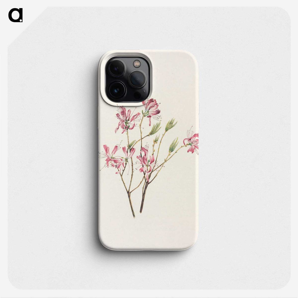 3-21_Mary-Vaux-Walcott_phone