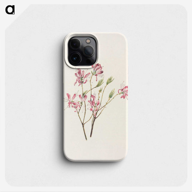 3-21_Mary-Vaux-Walcott_phone