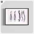アートポスター-Dental Extraction Instruments
 - 国立医学図書館 Poster.