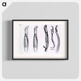 アートポスター-Dental Extraction Instruments
 - 国立医学図書館 Poster.