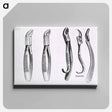 アートパネル-Dental Extraction Instruments
 - 国立医学図書館 Canvas.