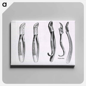 アートパネル-Dental Extraction Instruments
 - 国立医学図書館 Canvas.