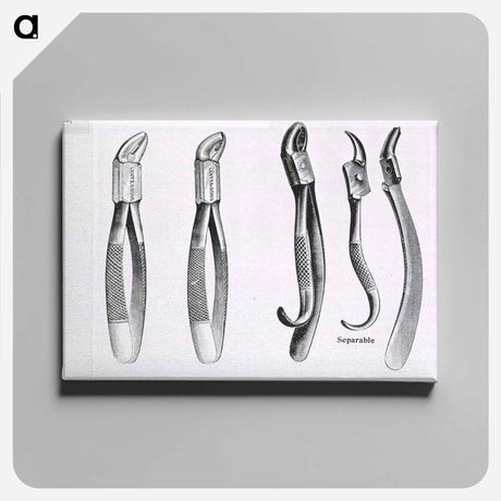 アートパネル-Dental Extraction Instruments
 - 国立医学図書館 Canvas.