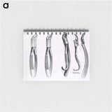 アートメモ帳-Dental Extraction Instruments
 - 国立医学図書館 Memo.
