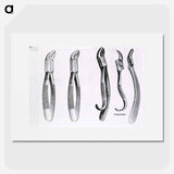 アートポスター-Dental Extraction Instruments
 - 国立医学図書館 Poster.