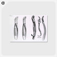 アートポストカード-Dental Extraction Instruments
 - 国立医学図書館 Postcard.