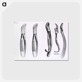 アートポストカード-Dental Extraction Instruments
 - 国立医学図書館 Postcard.