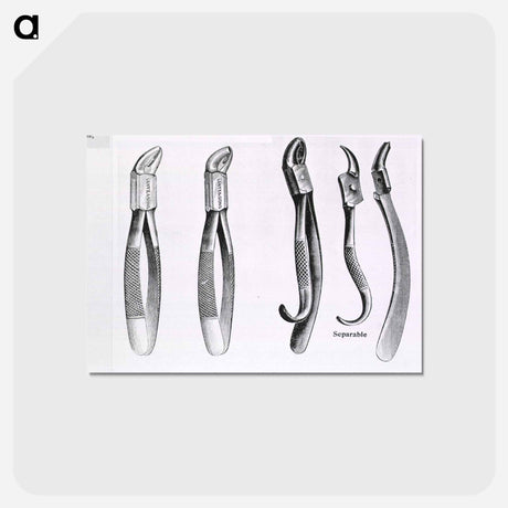 アートポストカード-Dental Extraction Instruments
 - 国立医学図書館 Postcard.