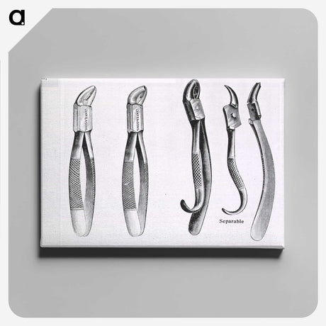 3-21_National-Library-of-Medicine_canvas