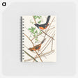 アートメモ帳-Towee Bunting from Birds of America
 - アメリカの鳥たち Memo.