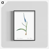 3-21_The-Lilies_blk-crop