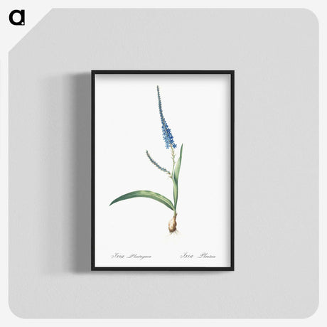 3-21_The-Lilies_blk-crop