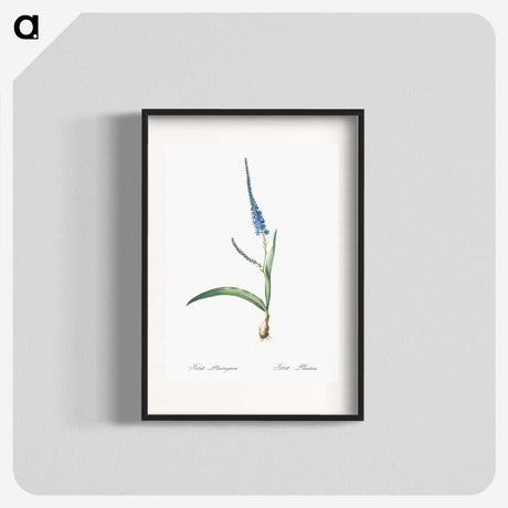3-21_The-Lilies_blk