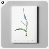 3-21_The-Lilies_canvas