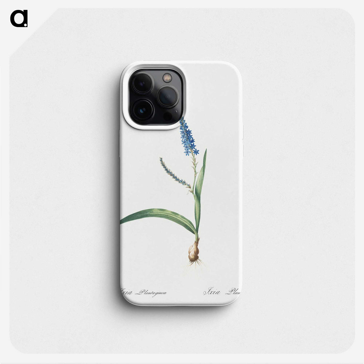 3-21_The-Lilies_phone
