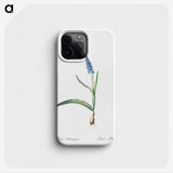 3-21_The-Lilies_phone