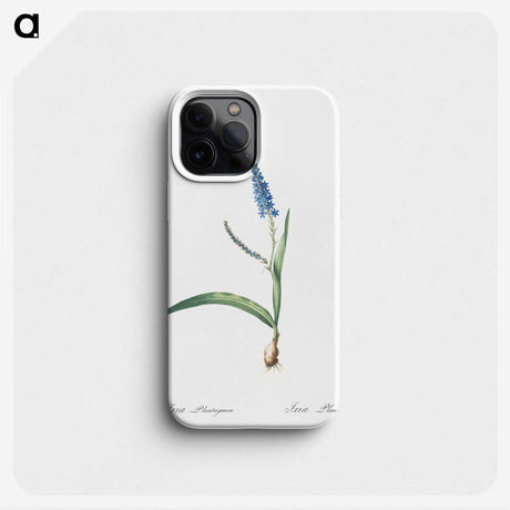 3-21_The-Lilies_phone