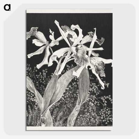 3-21_Theo-van-Hoytema_picture-crop