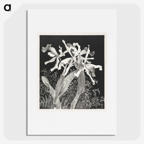 3-21_Theo-van-Hoytema_picture