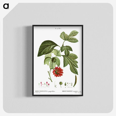 3-21_Treatise-on-Trees-and-Shrubs_blk-crop