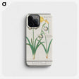 3-22_Anselmus-Boetius-de-Boodt_phone