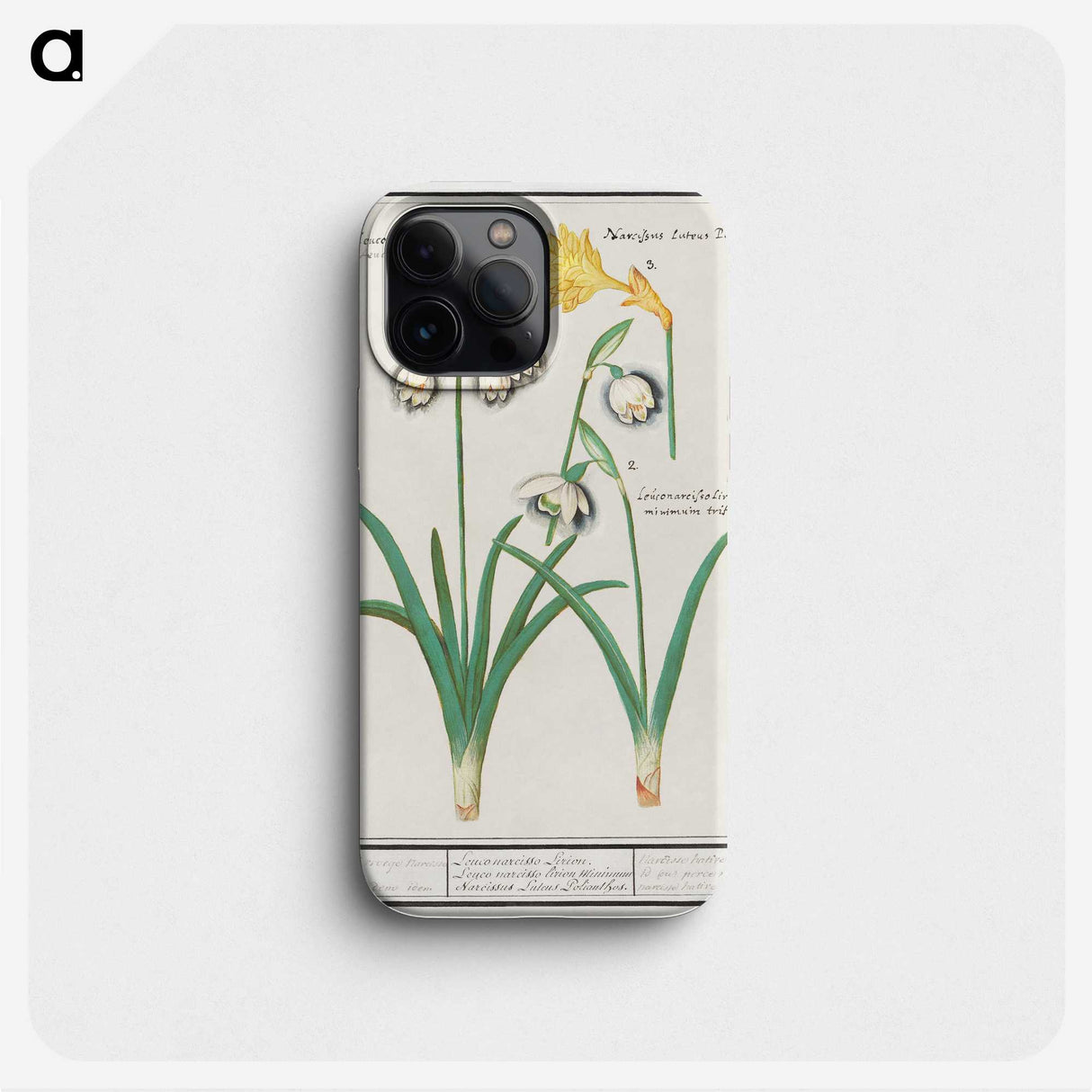 3-22_Anselmus-Boetius-de-Boodt_phone