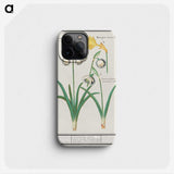 3-22_Anselmus-Boetius-de-Boodt_phone