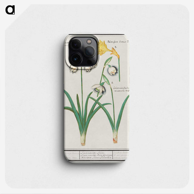 3-22_Anselmus-Boetius-de-Boodt_phone
