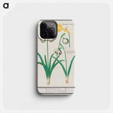 Snowdrops, galanthus, and a daffodil, narcissus - アンセルムス ボエティウス デ ブート Phone Case.