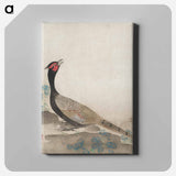 アートパネル-Pheasant
 - クリーブランド美術館 Canvas.