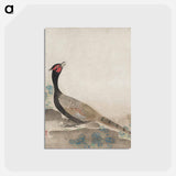 アートポストカード-Pheasant
 - クリーブランド美術館 Postcard.
