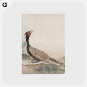 アートポストカード-Pheasant
 - クリーブランド美術館 Postcard.