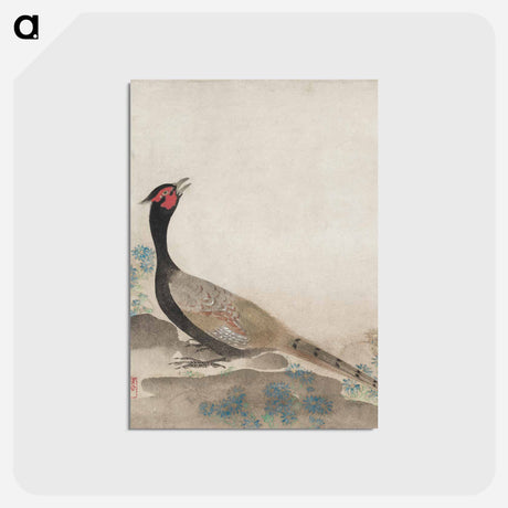 アートポストカード-Pheasant
 - クリーブランド美術館 Postcard.
