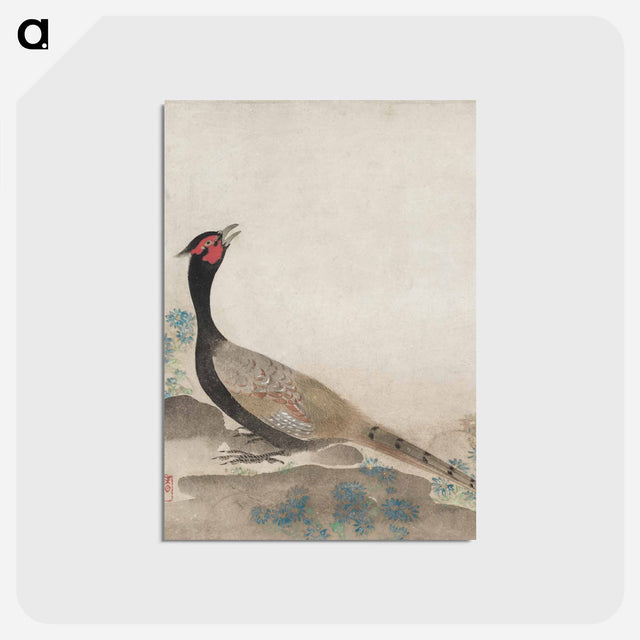 アートポストカード-Pheasant
 - クリーブランド美術館 Postcard.