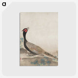 3-22_Cleveland-Museum-of-Art_postcard