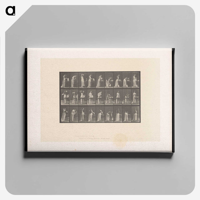 3-22_Eadweard-Muybridge_canvas