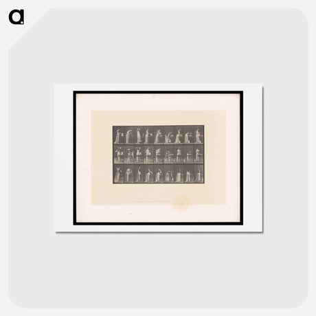アートポストカード-Woman at Her Washstand
 - エドワード マイブリッジ Postcard.