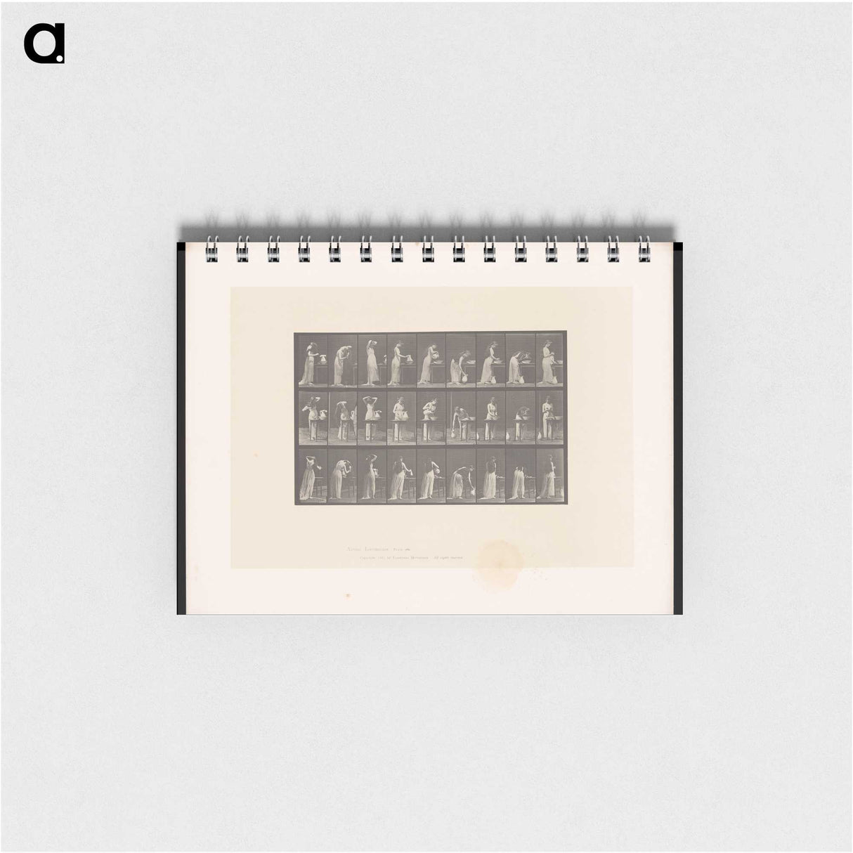 3-22_Eadweard-Muybridge_memo