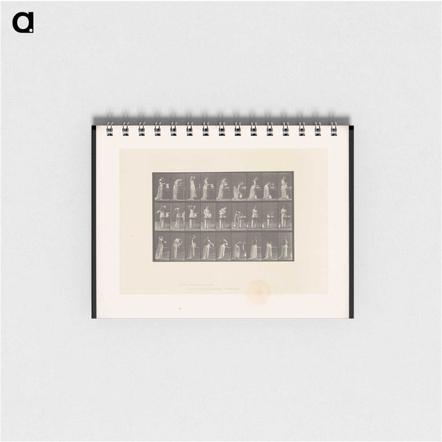 3-22_Eadweard-Muybridge_memo